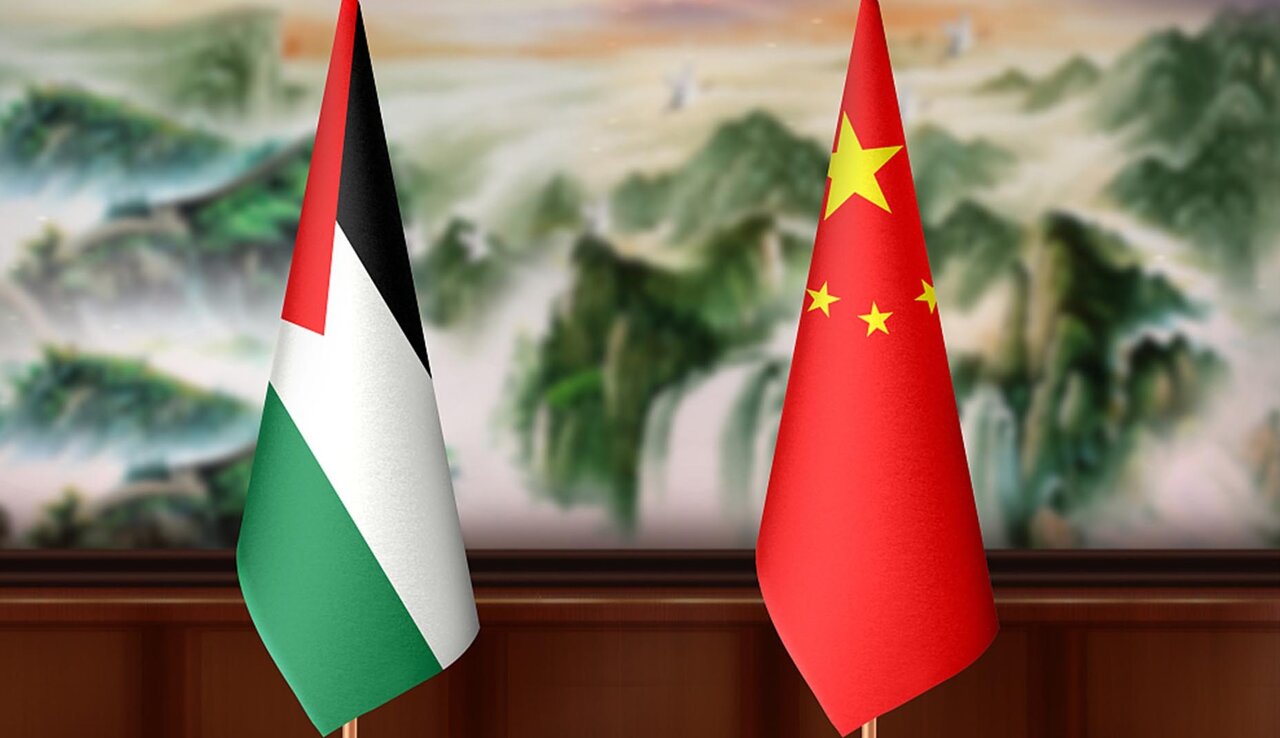 China's Role in Resolving Gaza Conflict: A Call for Decisive Action