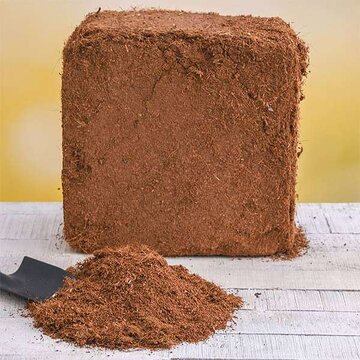 بیوکاشت؛ فروشگاه ملزومات باغبانی، خاک، انواع بذر و پیاز و گیاه