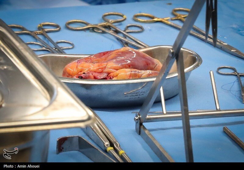 ماجرای پرواز یک قلب اهدایی از کرمان به تهران؛ نجاتبخش کودک ۱۴ ساله/ عکس
