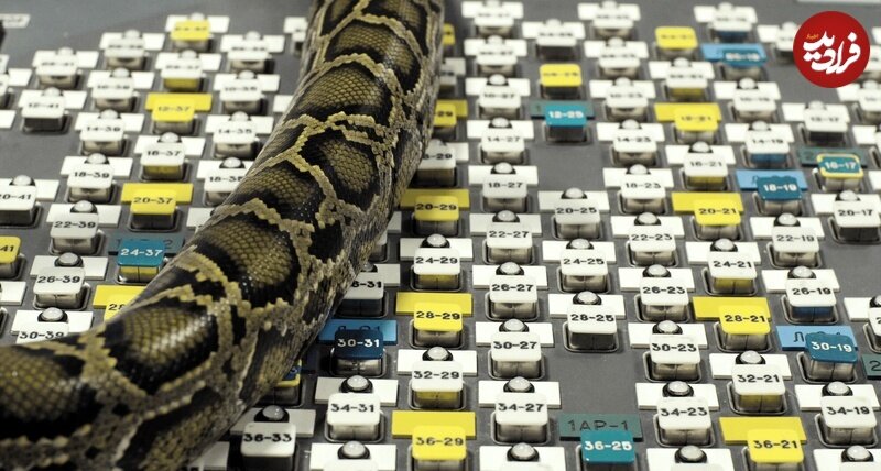 مستند «تدفین»؛ داستان دفن یک هیولای اتمی