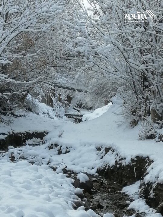 تصاویر برفی که مدتها تشنه دیدنش بودیم