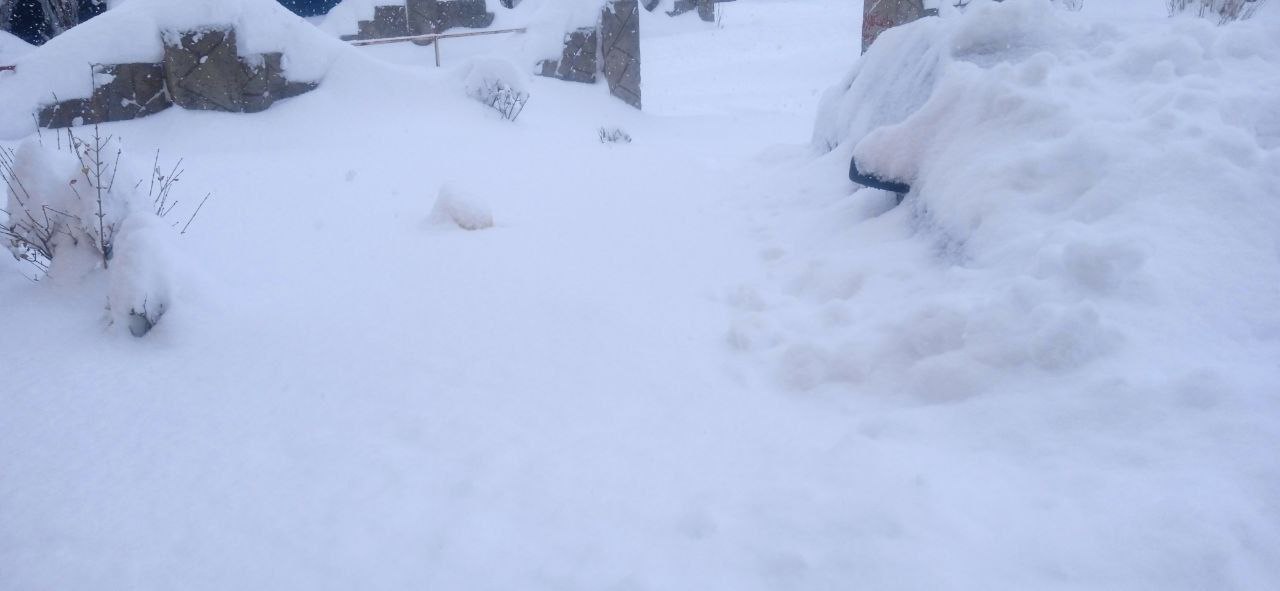 دفن شدن خودروها زیر برف در این شهر/ عکس