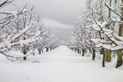 ببینید | بارش یک و نیم متری برف در روستای دزگیر مرگور؛ غرب شهرستان اورمیه