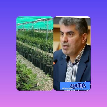 دستگاه‌های اجرایی در حفظ حقوق بیت‌المال و اراضی کشاورزی همراه هستند