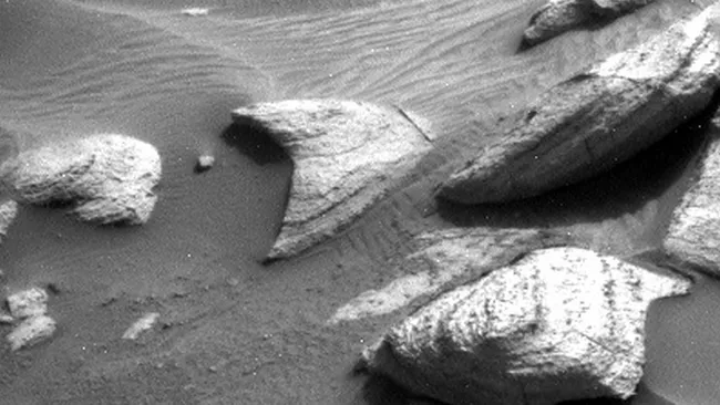 «پیشتازان فضا» در مریخ؟/ عکس