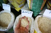 قیمت برنج پاکستانی از ایرانی گرانتر شد! + جدول برندهای پرفروش