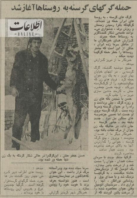 این مرد با شکار گرگ گرسنه، زن جوان را نجات داد/ عکس