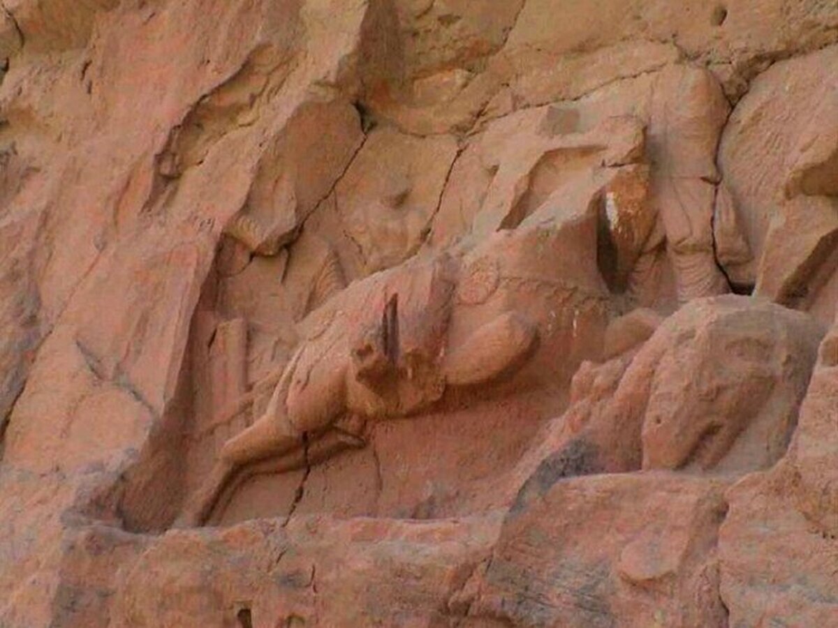 کشف نقش برجستههای ساسانی در افغانستان/ عکس