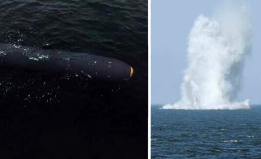 پهپاد اتمی کره شمالی سونامی به پا میکند/ عکس