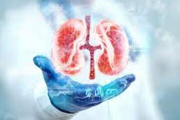 پررنگ بودن ادرار نشانه چیست؟ پررنگ بودن ادرار نشانه چیست؟