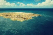 لکه‌ای به بزرگی ۳برابر کشور فرانسه در اقیانوس آرام/ عکس