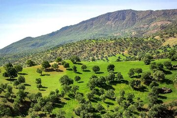پایش هوشمند عرصه‌های ملی فارس در سایه فناوری