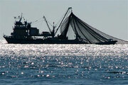 ببینید | اولین تصاویر از توقیف شناور صید ترال در خلیج فارس