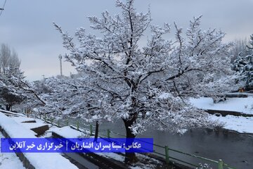 بارش برف در ارومیه
