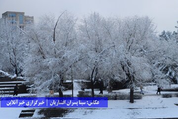 بارش برف در ارومیه