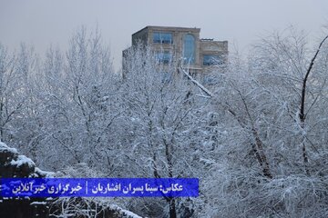 بارش برف در ارومیه