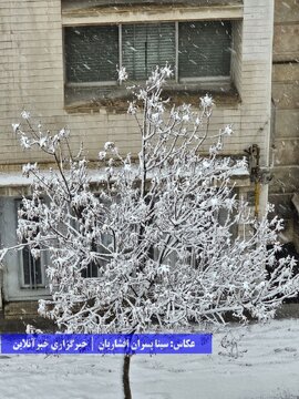 بارش برف در ارومیه