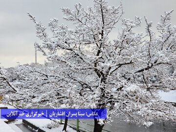 بارش برف در ارومیه