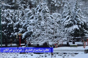 بارش برف در ارومیه