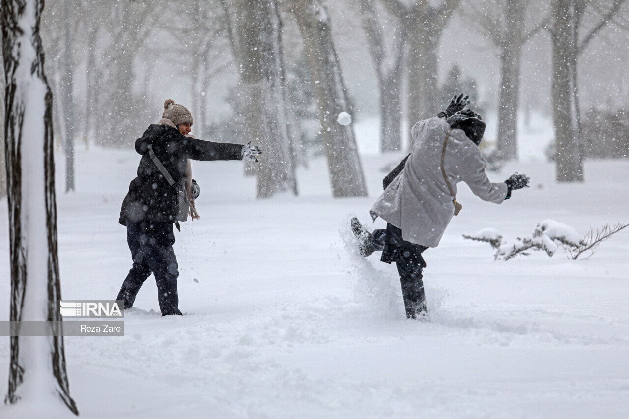 بارش برف این شهر را سفیدپوش کرد/ عکس