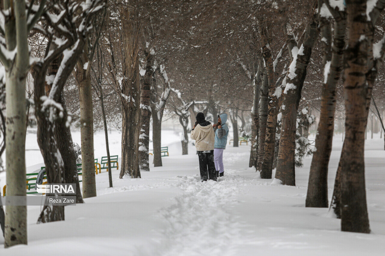 بارش برف این شهر را سفیدپوش کرد/ عکس