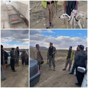 دستگیری دو متخلف قبل از اقدام به شکار در شهرستان سقز