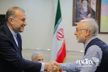 دیدار وزیر امور خارجه به همراه وزرای امور خارجه سابق جمهوری اسلامی ایران با دکتر علی اکبر ولایتی