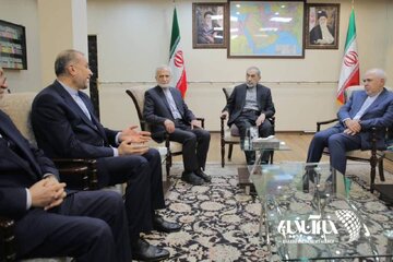 دیدار وزیر امور خارجه به همراه وزرای امور خارجه سابق جمهوری اسلامی ایران با دکتر علی اکبر ولایتی