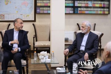دیدار وزیر امور خارجه به همراه وزرای امور خارجه سابق جمهوری اسلامی ایران با دکتر علی اکبر ولایتی