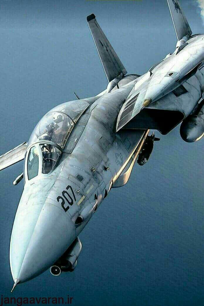 سرنگونی فانتوم نیروی هوایی توسط اف14 تامکت نیروی دریایی امریکا