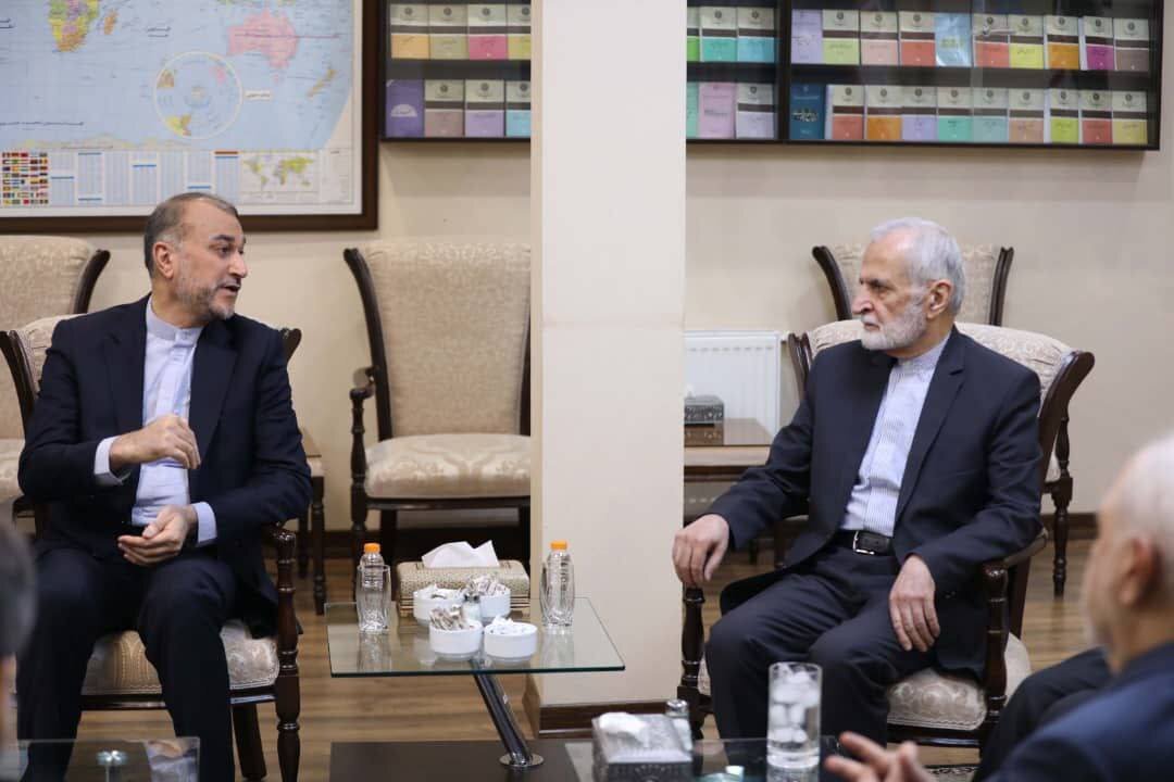 دیدار امیرعبداللهیان و وزیران خارجه سابق با ولایتی