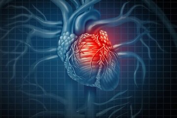 خطر سکته قلبی با مصرف زیاد این ویتامین خطر سکته قلبی با مصرف زیاد این ویتامین