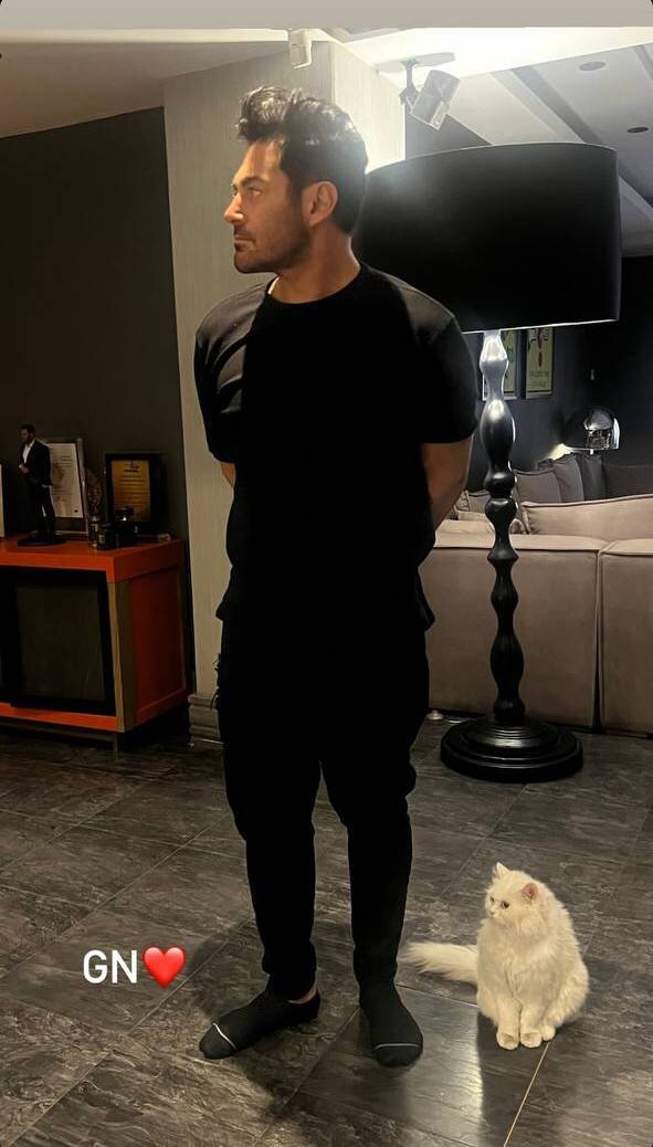 عکس | تقلید گربه گرانقیمت محمدرضا گلزار از آقای بازیگر در ژست عکاسی!