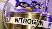 نیتروژن چطور آدم را می‌کشد؟ / اعدام با گازی که هر روز تنفس می‌کنیم