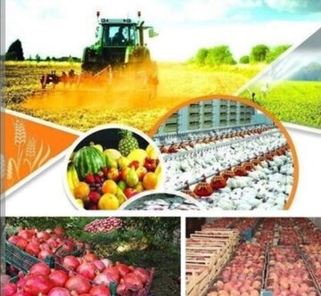 افتتاح ۴هزار و ۹۰۰ میلیارد ریال پروژه در بخش کشاورزی کردستان در ایام دهه مبارک فجر افتتاح ۴هزار و ۹۰۰ میلیارد ریال پروژه در بخش کشاورزی کردستان در ایام دهه مبارک فجر