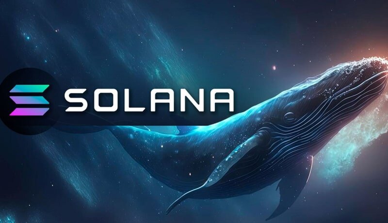 - نهنگ‌های سولانا ۸۲ میلیون دلار را جابه‌جا کردند! تأثیر آن بر قیمت SOL چیست؟