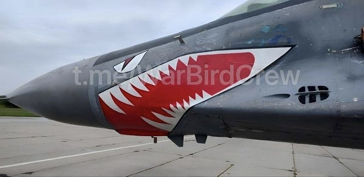 جنگنده میگ-۲۹ با طراحی کوسه!/ عکس