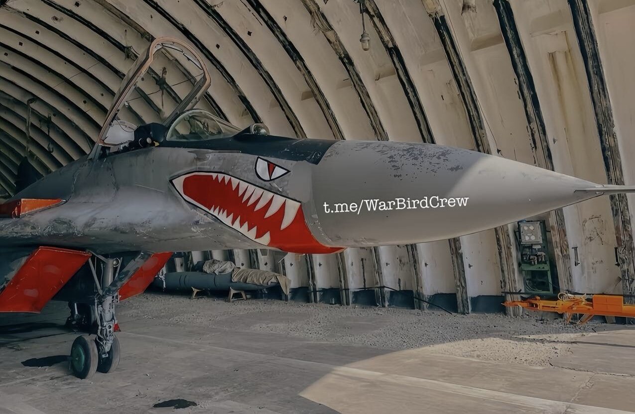 جنگنده میگ-۲۹ با طراحی کوسه!/ عکس