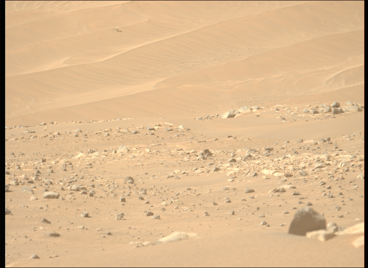 گشت و گذار یک شیء عجیب در مریخ!/ عکس