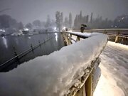 مصدومیت بیش از ۱۰۰ نفر بر اثر بارش برف سنگین در این کشور/ عکس