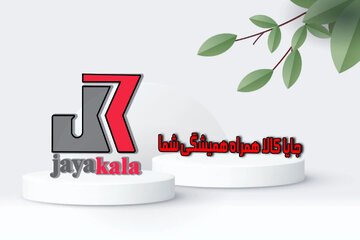 خرید ارزان نهال گردو همراه با راهنمای کامل