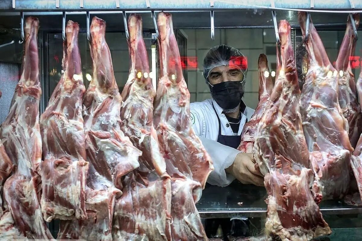 - سیگنال از آفریقا به بازار گوشت ایران/ گوشت‌های جدید از آفریقا می‌رسند