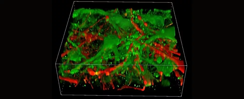 چاپ سهبعدی بافت مغز انسان!/ عکس