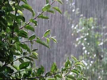 پیش‌بینی می‌شود بارش روزهای آتی در کرمانشاه به ۱۰۰ میلی متر برسد