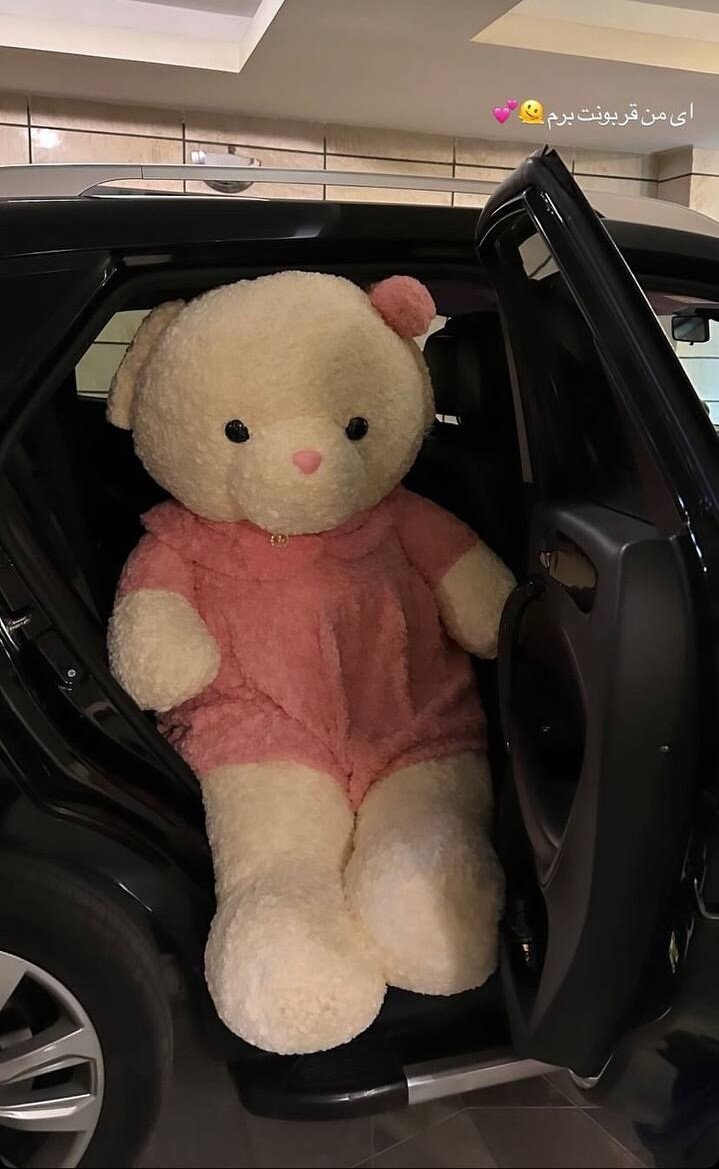 عکس| خرسی که سرمربی سپاهان برای همسرش خرید!