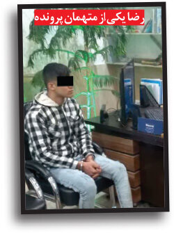 راز مرگ مشکوک دختر ۱۶ ساله در مشهد/ در سوئیت اجارهای چه خبر بود؟