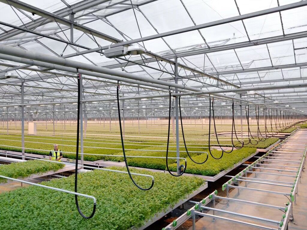 لوله گالوانیزه گلخانه چیست؟ لوله مقاوم برای گلخانه کدام است؟