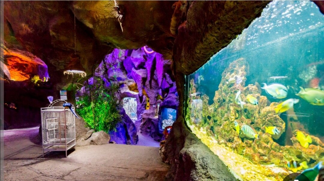 غار آکواریوم و مُتلهای مجموعه توریستی بام ملایر افتتاح شد