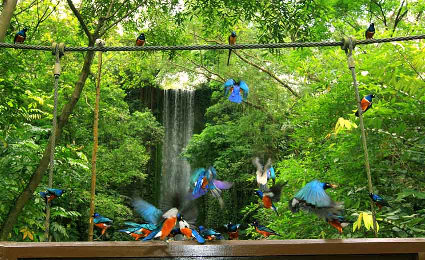 مکانهای دیدنی کیش