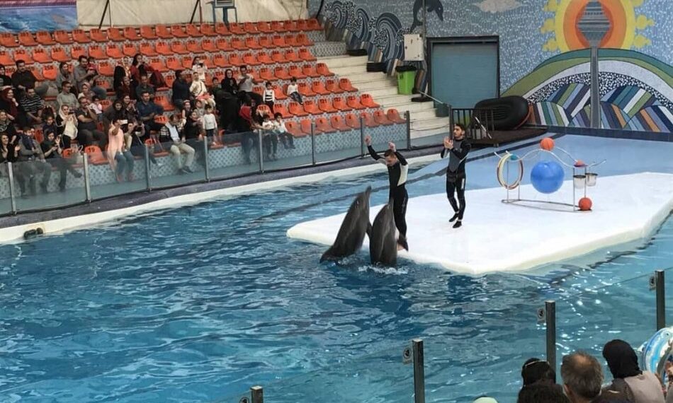 مکانهای دیدنی کیش